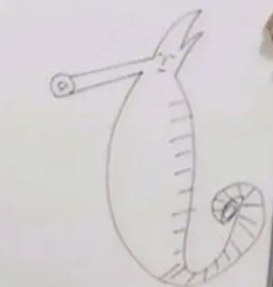 タツノオトシゴ