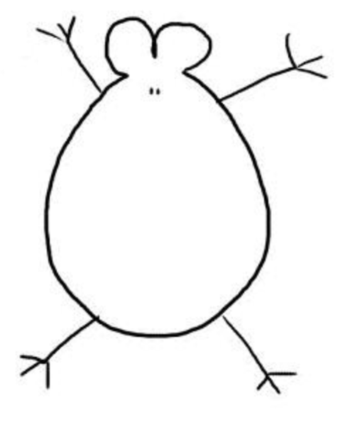 カブトムシ