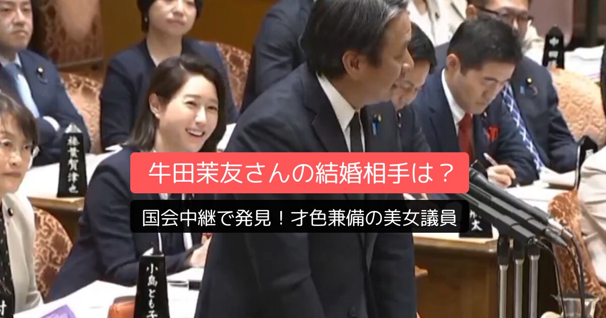 国会中継で発見!才色兼備の美女議員・牛田茉友さんの結婚相手は?