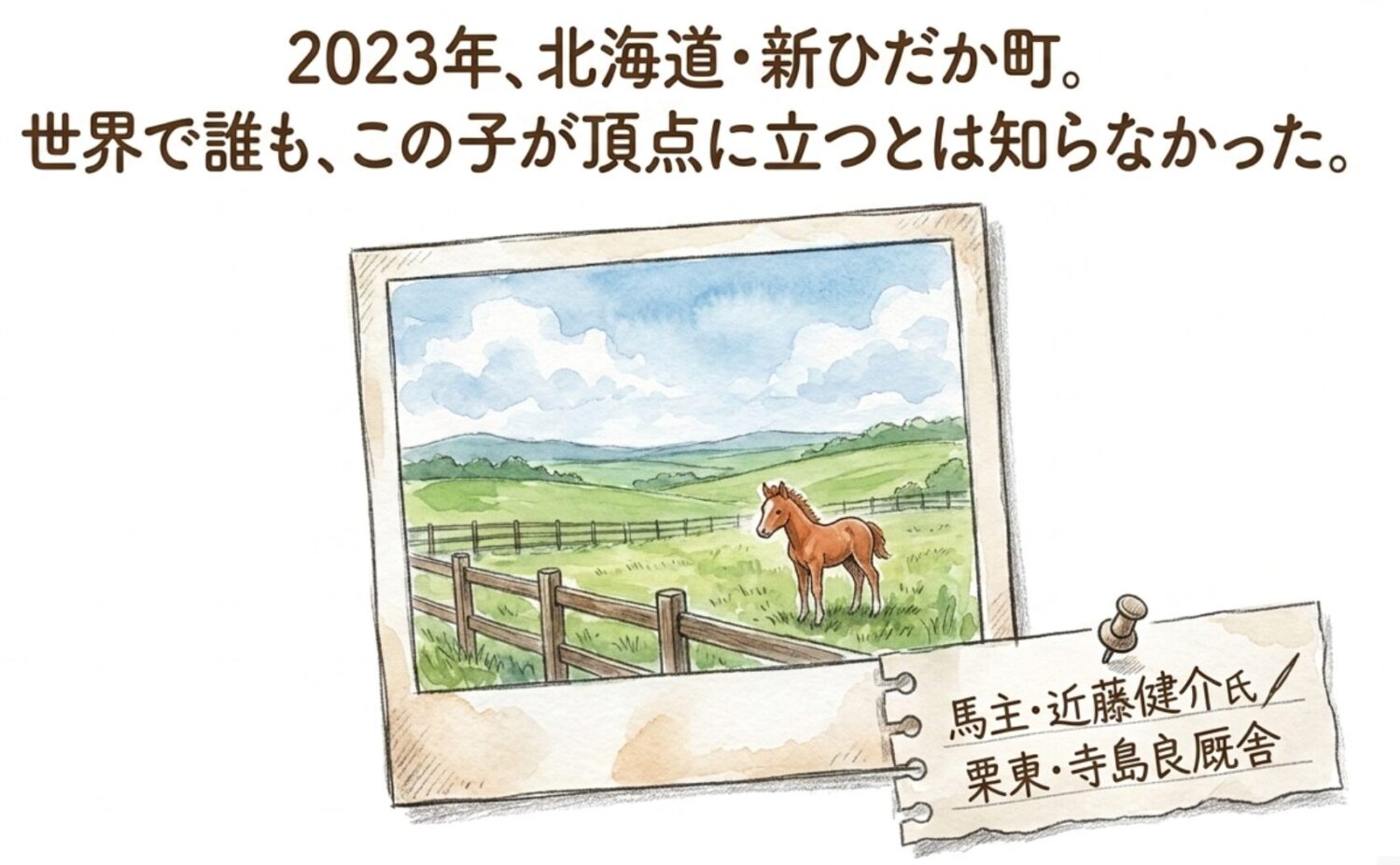 ジュウリョクピエロという馬 北海道の牧場から始まった物語