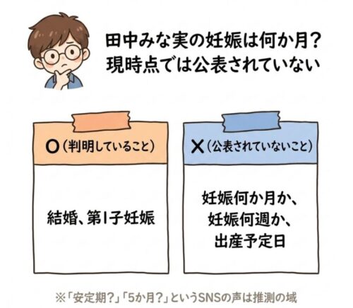 妊娠は何か月なのかは公表されていない