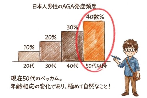 日本人男性のAGA発症頻度