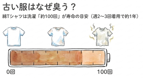 綿Tシャツは洗濯「約100回」が寿命の目安