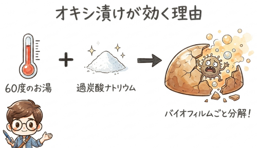 オキシ漬けが効く理由