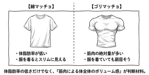 細マッチョとゴリマッチョの違い