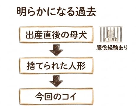 明らかになる過去
