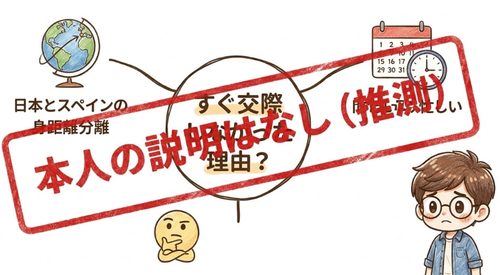 本人の説明無し（推測）