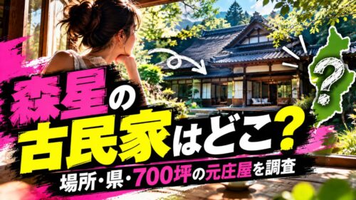 森星の古民家はどこ？場所・県・700坪の元庄屋を調査